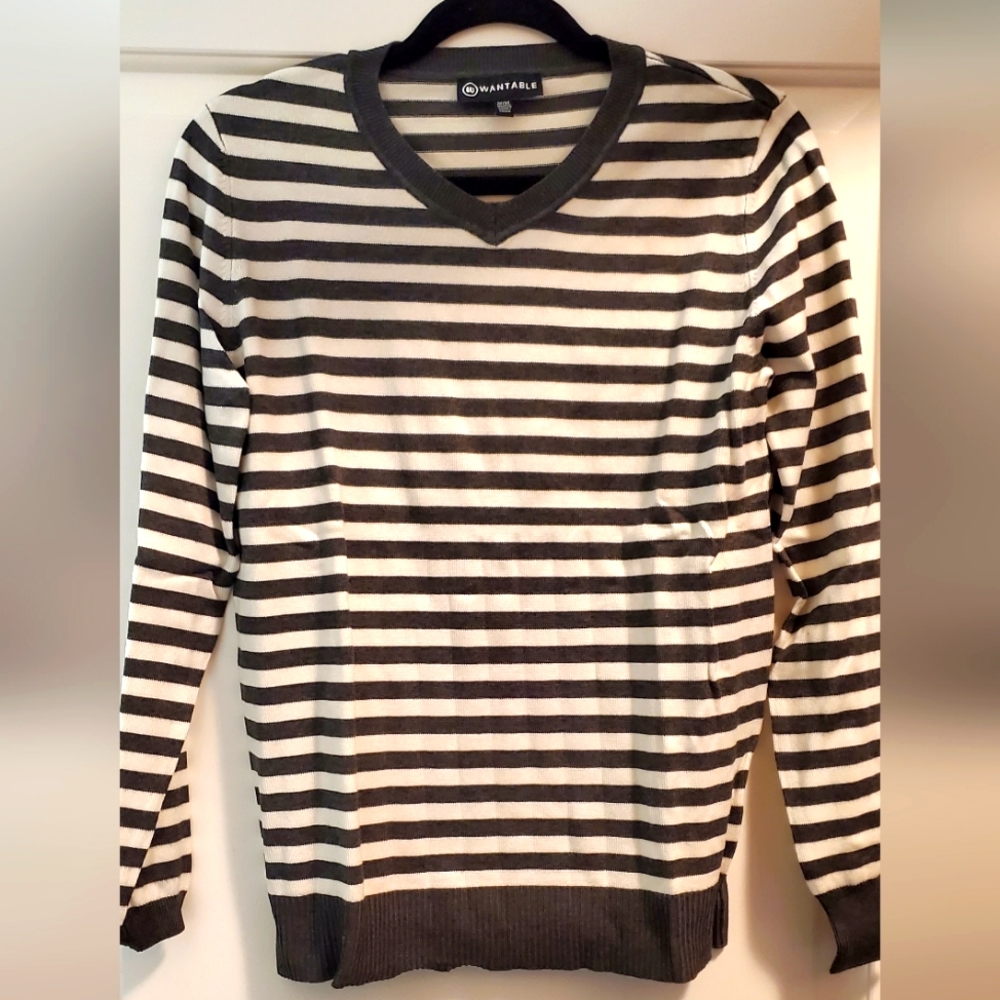 Wantable v-neck striped sweater (M)